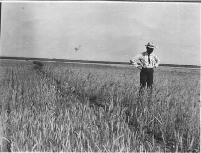 Judith Basin Experimental Station