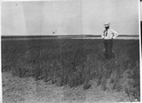 Judith Basin Experimental Station