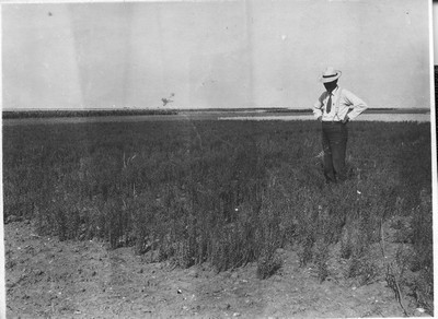 Judith Basin Experimental Station