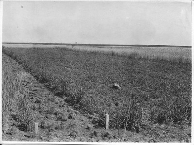 Judith Basin Experimental Station