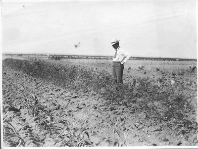 Judith Basin Experimental Station