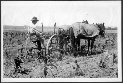 Horse Drawn Farm Machinery