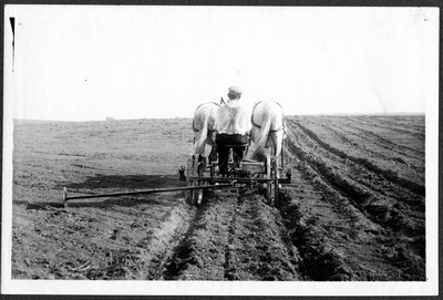 Horse Drawn Farm Machinery