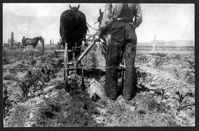 Horse Drawn Farm Machinery