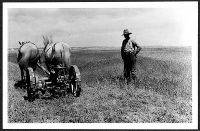 Horse Drawn Farm Machinery