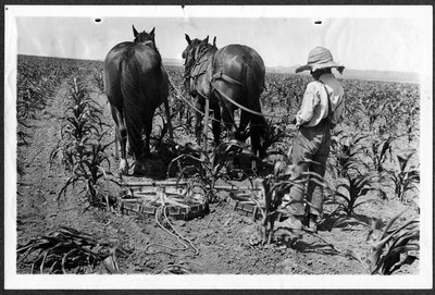 Horse Drawn Farm Machinery