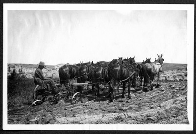 Horse Drawn Farm Machinery