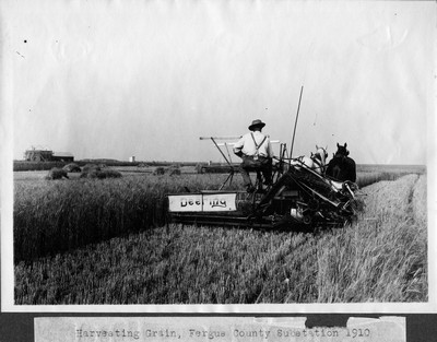 Grain - Harvesting