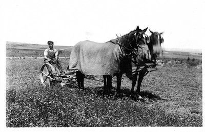Horse Drawn Farm Machinery