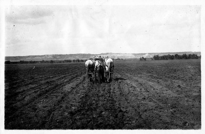 Horse Drawn Farm Machinery