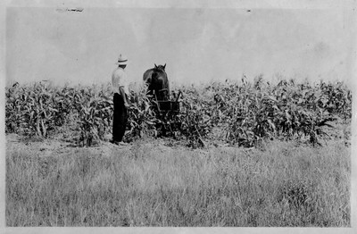 Horse Drawn Farm Machinery