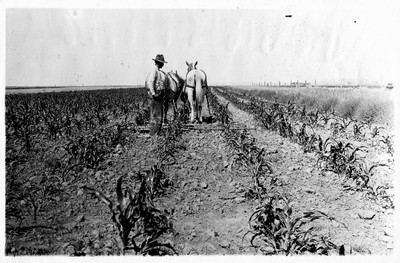 Horse Drawn Farm Machinery