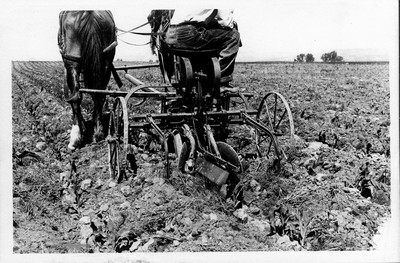 Horse Drawn Farm Machinery