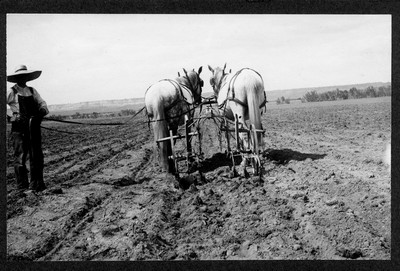 Horse Drawn Farm Machinery
