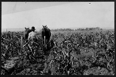 Horse Drawn Farm Machinery
