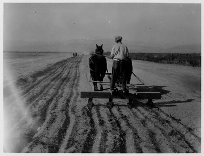 Farm Machinery - Horse Drawn