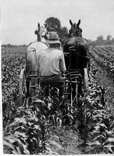 Farm Machinery - Horse Drawn