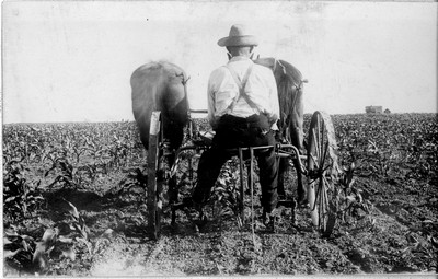 Cultivator
