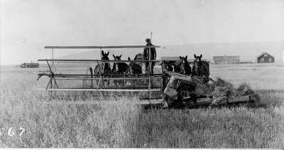 Farm Machinery - Horse Drawn