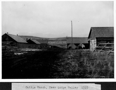 Cattle Ranch