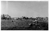 Farmstead