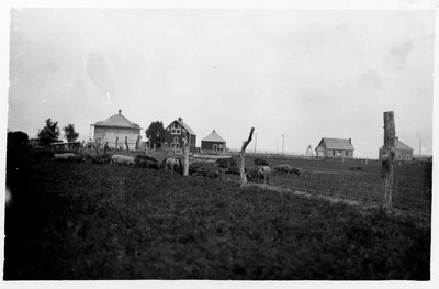 Farmstead
