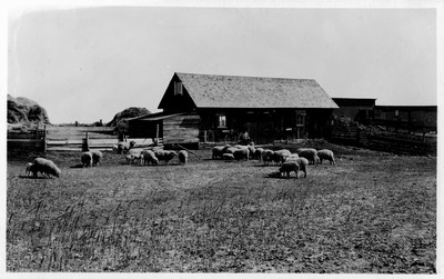 Farmstead