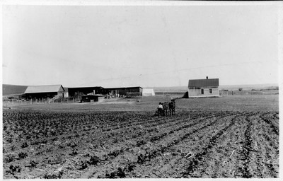 Farmstead