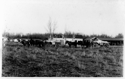 Farmstead