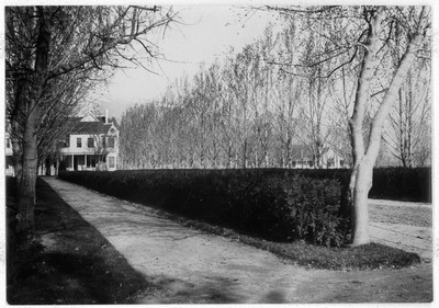 Farmstead