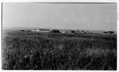 Farmstead