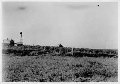 Farmstead