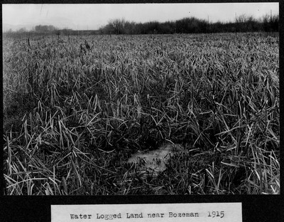 Water Logged Land