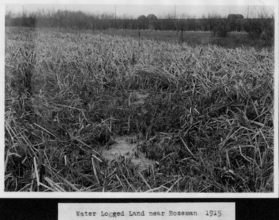 Water Logged Land