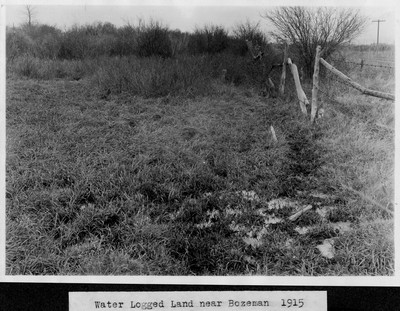 Water Logged Land