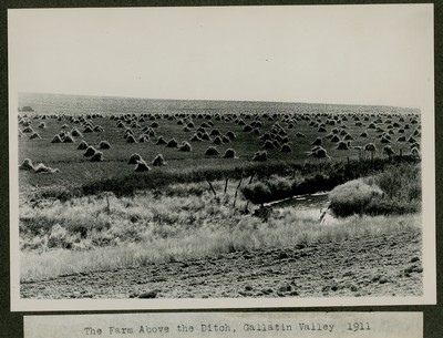 Farm Scene