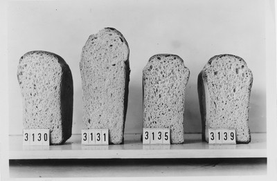 Wheat Varieties