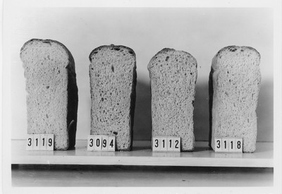 Wheat Varieties