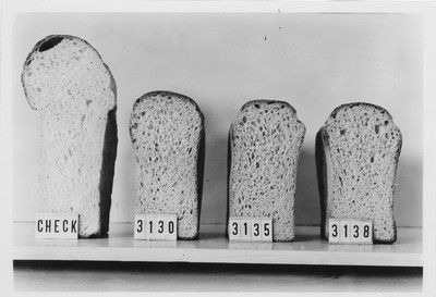 Wheat Varieties