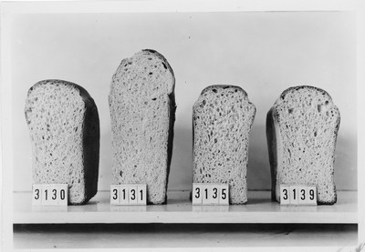 Bread - Wheat Varieties