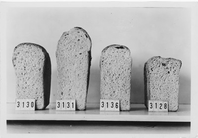 Bread - Wheat Varieties