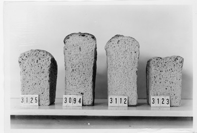Wheat Varieties