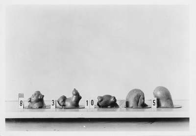Wheat Varieties