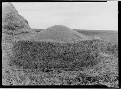 Granary