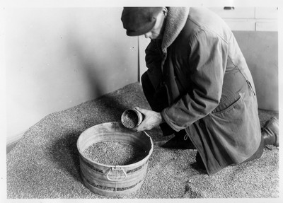Grain Storage