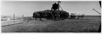 Wayman Farm - Hay