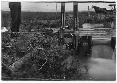 Irrigation Ditch