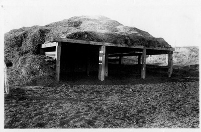 Haystacks