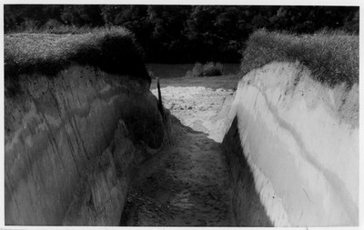 Trench Silo