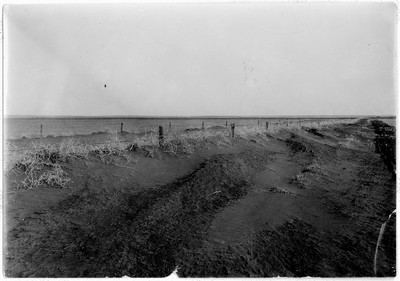 Soil